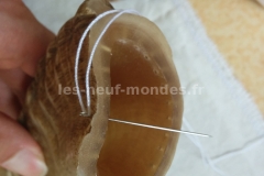 02-cornes couture 02_