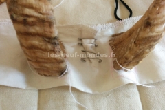 02-cornes couture 06_